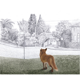 Narelda_Joy_illustrator_author